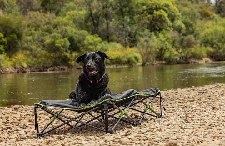 Ironman 4x4 Quick Fold Dog Bed with Padded Mat (XL)