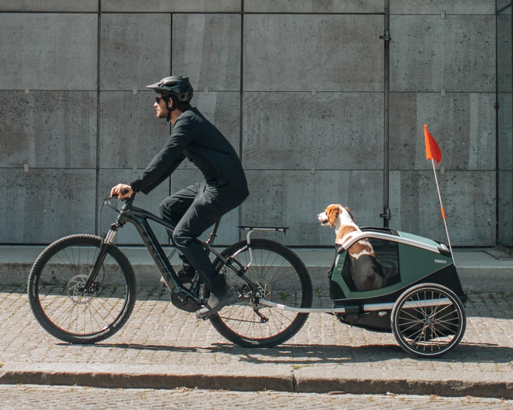 Thule Bexey Dog Bike Trailer Hazy Green