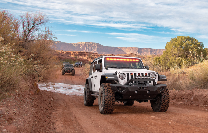 Carnivore Front Bumper for 07-26 Jeep Wrangler JK, JL & Gladiator JT