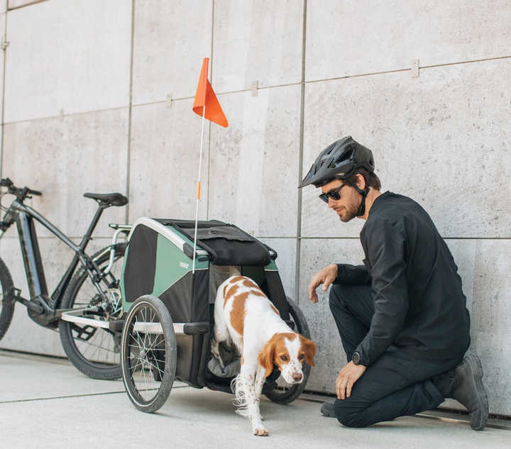 Thule Bexey Dog Bike Trailer Hazy Green