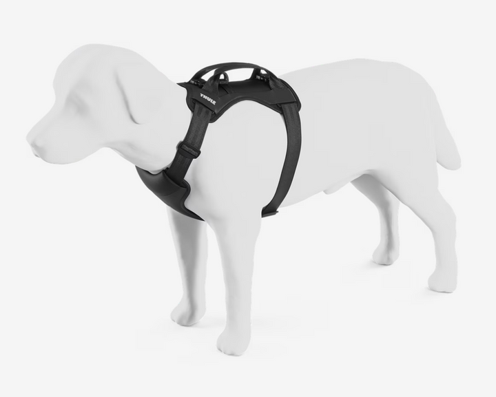 Thule Cappy dog car harness