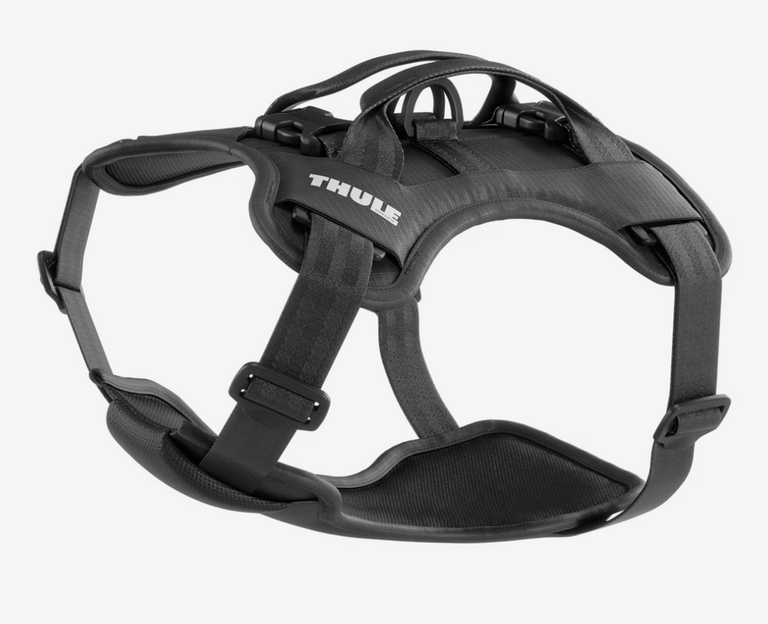Thule Cappy dog car harness