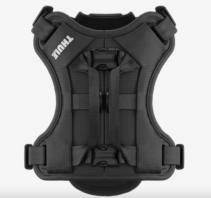 Thule Cappy dog car harness